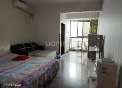 成都租房爆料最新消息网,揭秘价格波动与热门区域